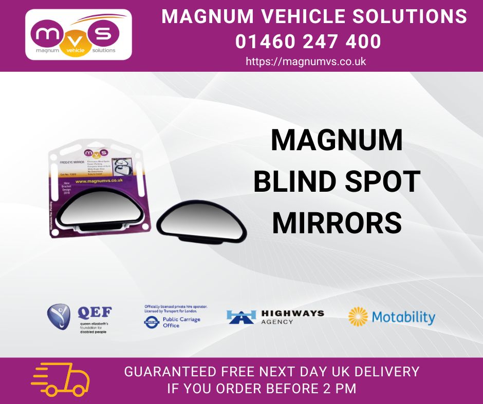 Motorhome Blind Spot Mirror